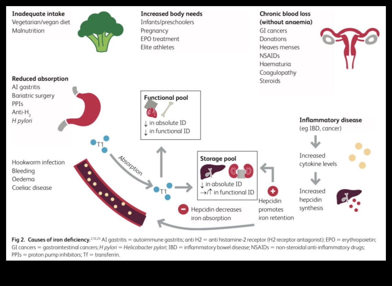 Βιγκανισμός και απορρόφηση σιδήρου: Ενίσχυση της βιοδιαθεσιμότητας θρεπτικών συστατικών