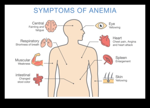 Βιγκανισμός και απορρόφηση σιδήρου: Ενίσχυση της βιοδιαθεσιμότητας θρεπτικών συστατικών