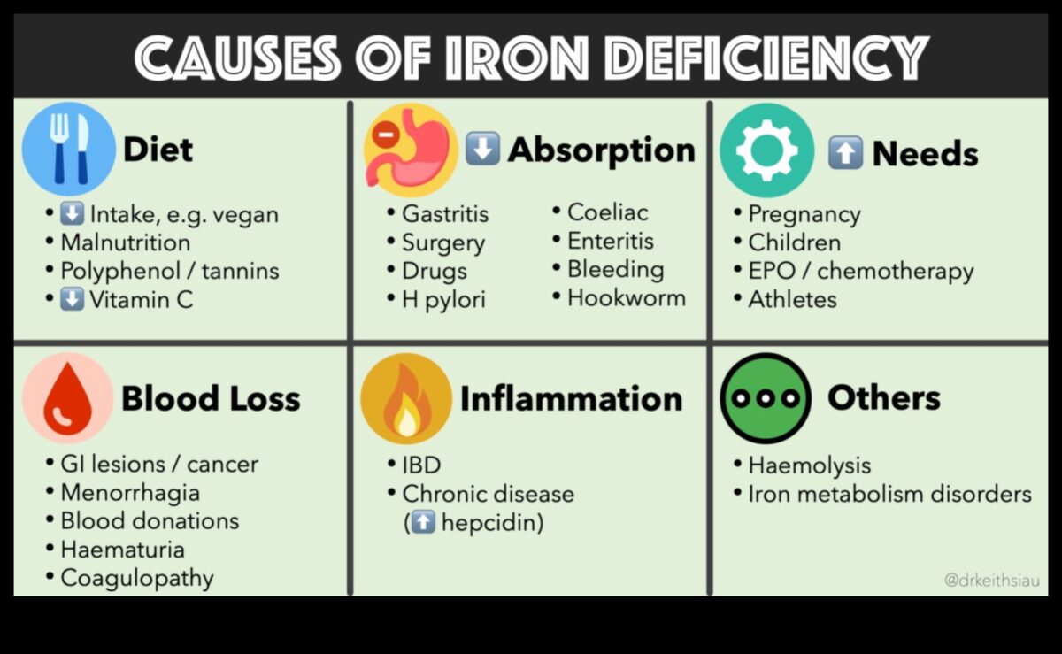 Βιγκανισμός και απορρόφηση σιδήρου: Ενίσχυση της βιοδιαθεσιμότητας θρεπτικών συστατικών