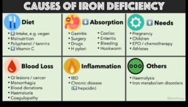 Βιγκανισμός και απορρόφηση σιδήρου: Ενίσχυση της βιοδιαθεσιμότητας θρεπτικών συστατικών