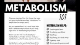 Μεταβολική κυριαρχία: Πώς η άσκηση ενισχύει τη θερμιδική απόδοση του σώματός σας