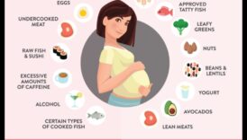 Δημιουργία γευμάτων με υψηλή περιεκτικότητα σε πρωτεΐνες για μια χορτοφαγική εγκυμοσύνη