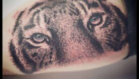 Οπτική Αλχημεία: Τατουάζ Ρεαλισμού για Καλλιτεχνική Έκφραση